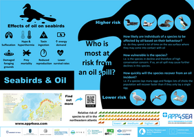 Infographic developed by APP4SEA project presenting the effect of oil spill on seabirds