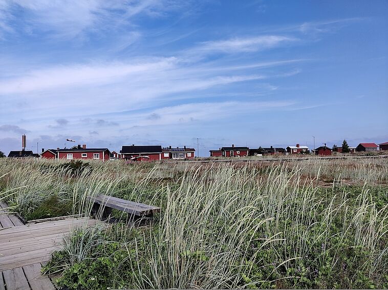 Grass surrounds an old wooden pier